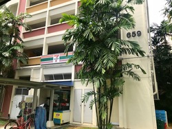 Blk 659B Jurong West Street 65 (Jurong West), HDB 5 Rooms #172353562